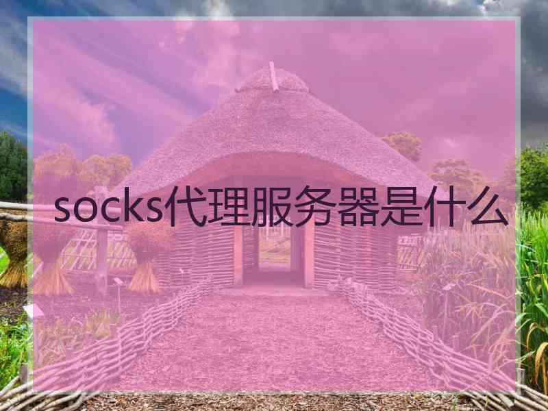 socks代理服务器是什么