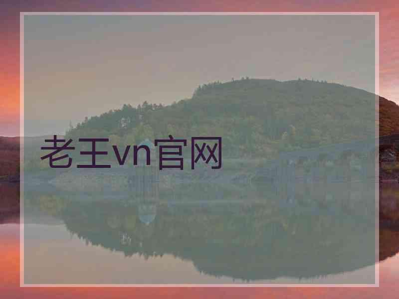 老王vn官网