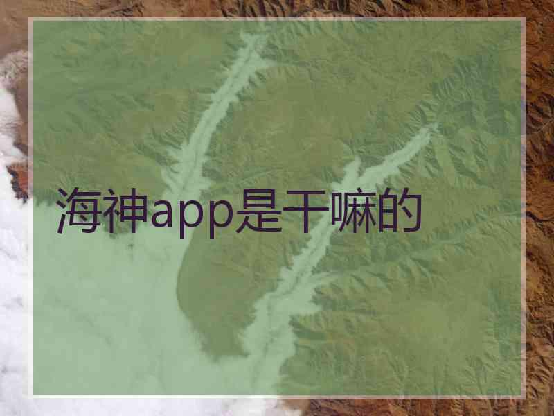 海神app是干嘛的