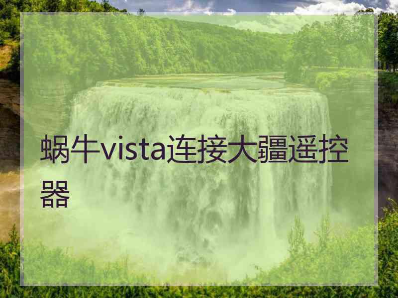 蜗牛vista连接大疆遥控器