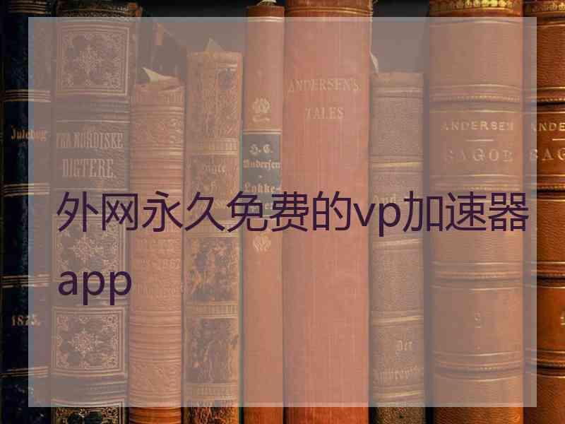 外网永久免费的vp加速器app