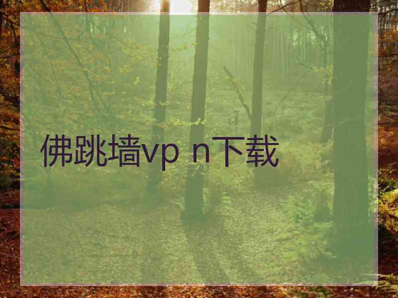 佛跳墙vp n下载