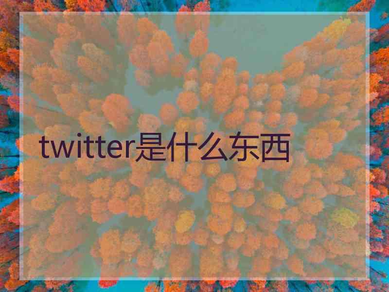 twitter是什么东西