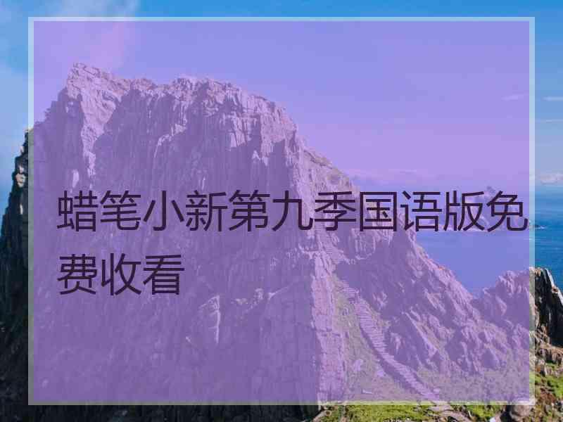 蜡笔小新第九季国语版免费收看