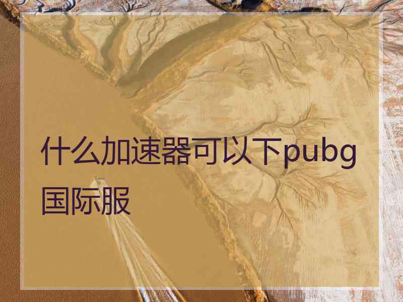 什么加速器可以下pubg国际服