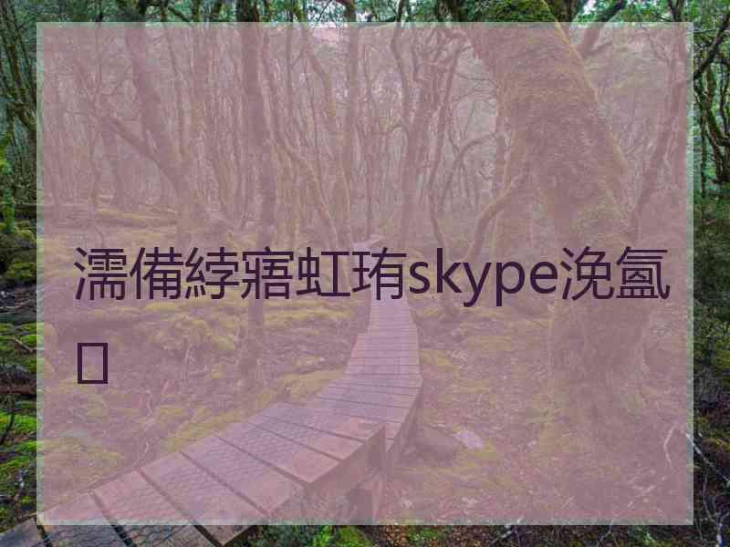 濡備綍寤虹珛skype浼氳