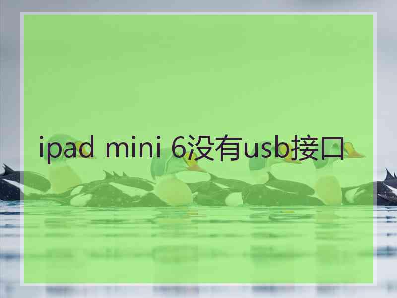 ipad mini 6没有usb接口