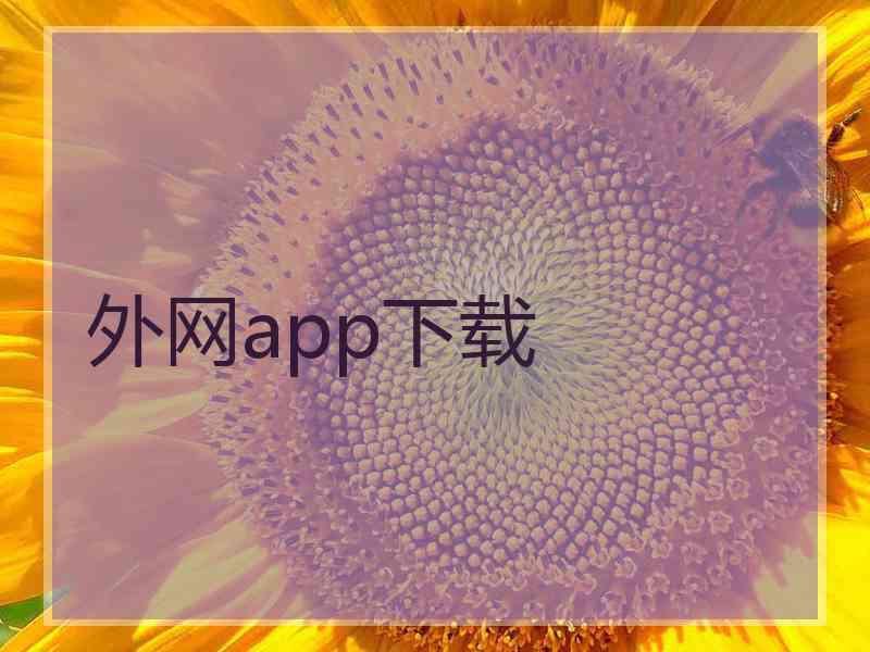 外网app下载