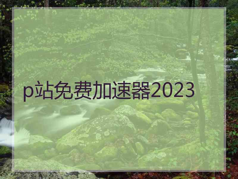 p站免费加速器2023