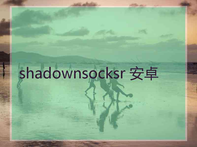 shadownsocksr 安卓