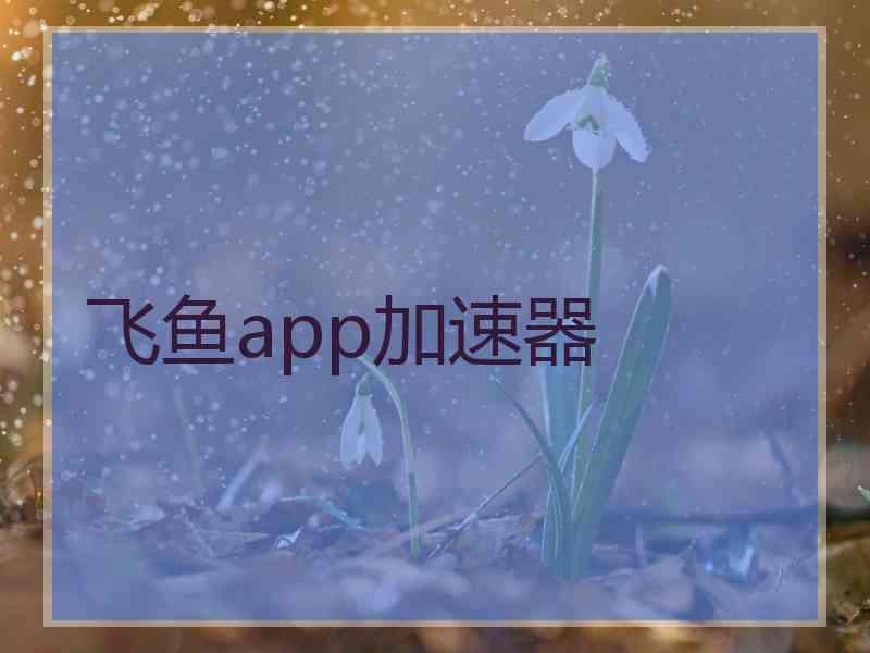 飞鱼app加速器