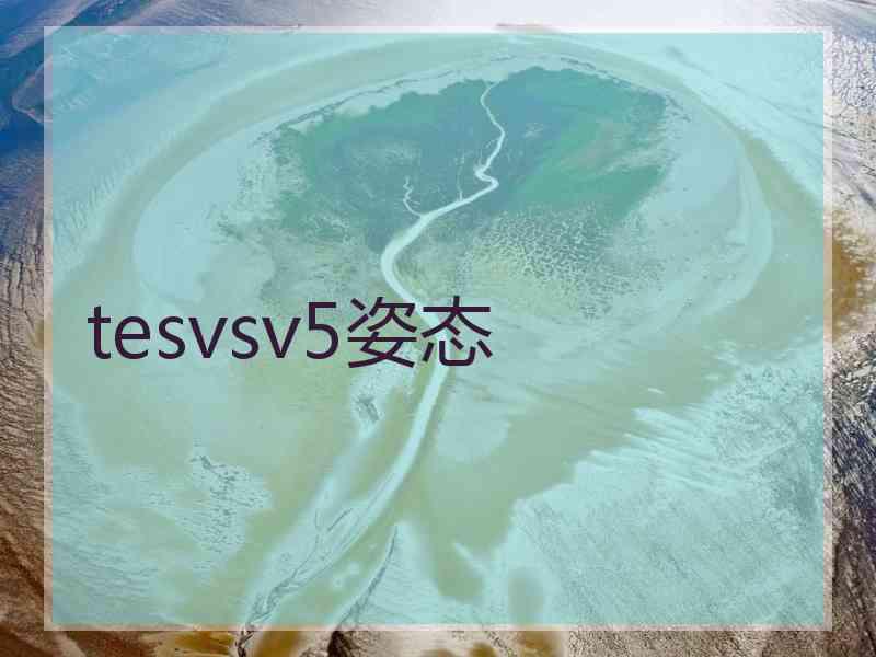 tesvsv5姿态