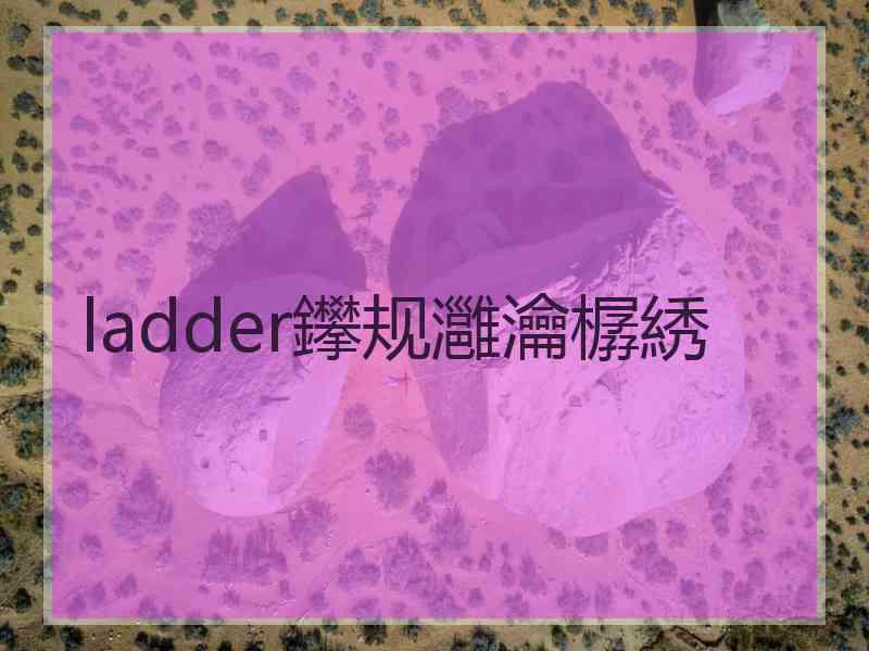 ladder鑻规灉瀹樼綉