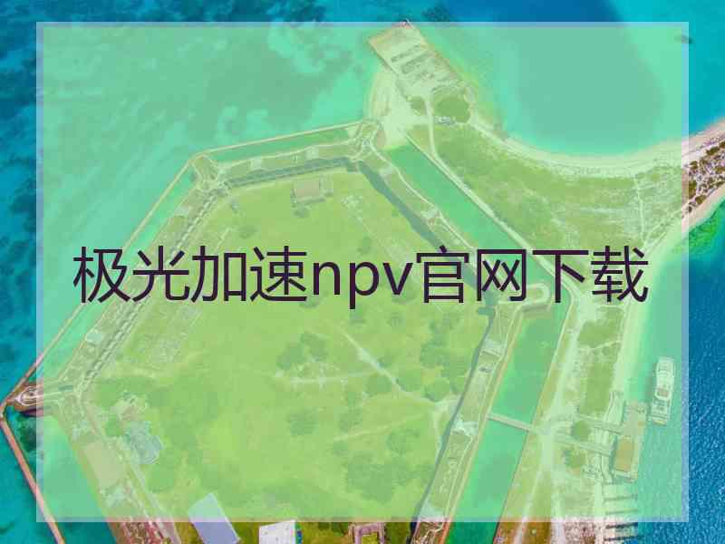 极光加速npv官网下载