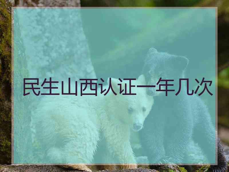 民生山西认证一年几次