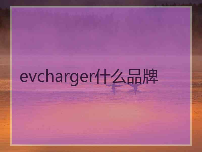 evcharger什么品牌