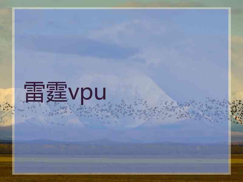 雷霆vpu