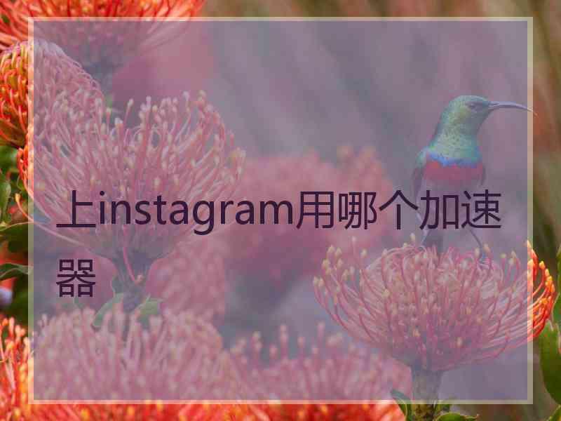 上instagram用哪个加速器