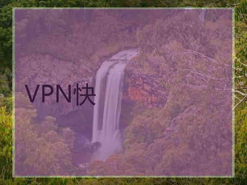 VPN快