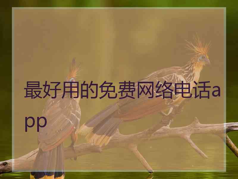 最好用的免费网络电话app