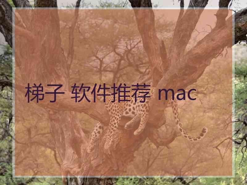 梯子 软件推荐 mac