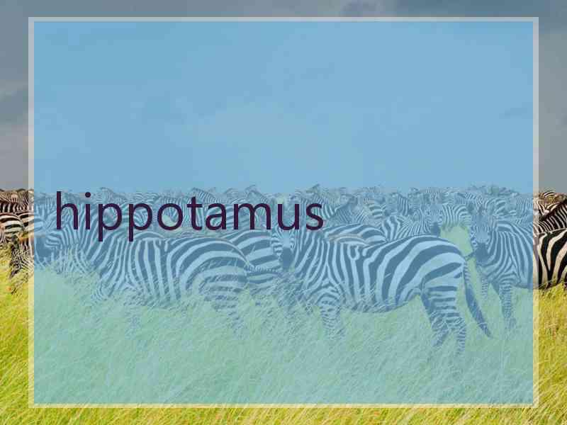 hippotamus