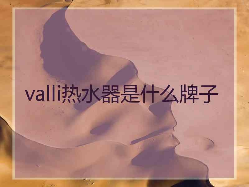 valli热水器是什么牌子