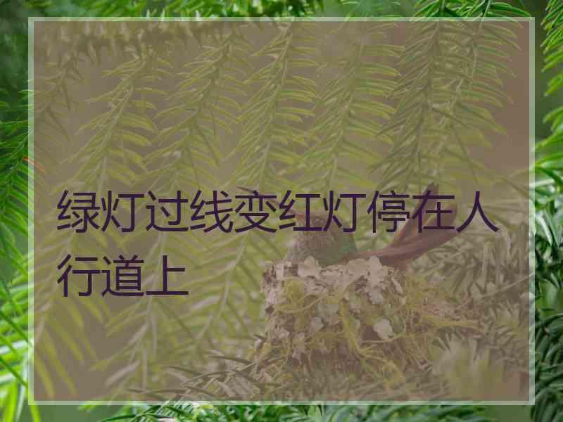 绿灯过线变红灯停在人行道上