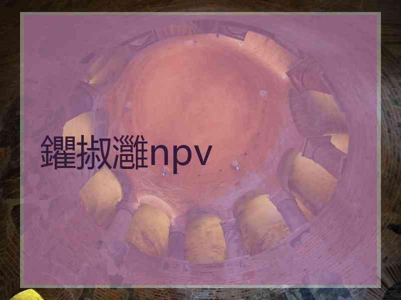 鑺掓灉npv