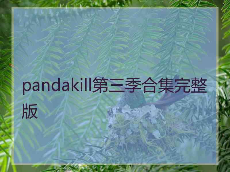 pandakill第三季合集完整版