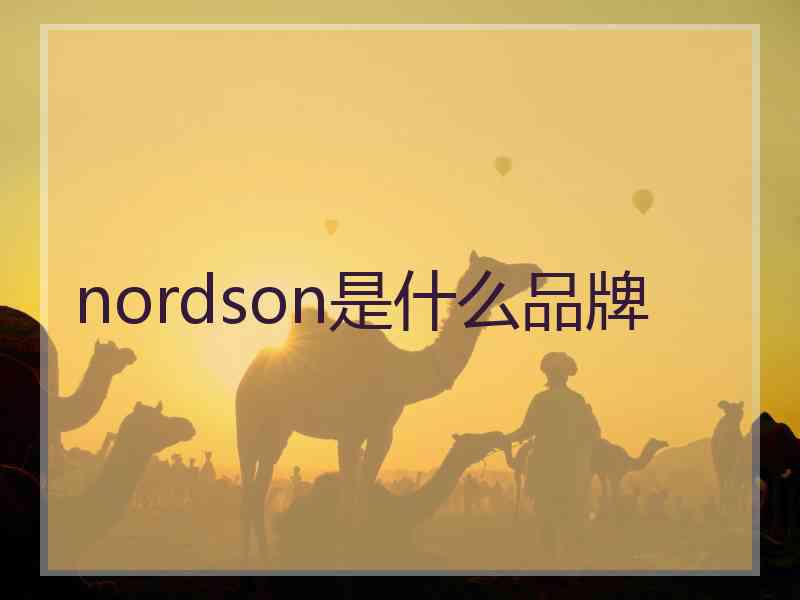 nordson是什么品牌