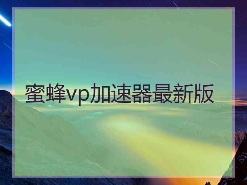 蜜蜂vp加速器最新版