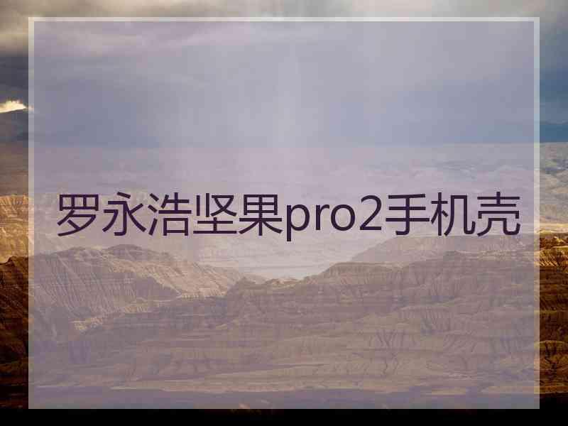 罗永浩坚果pro2手机壳