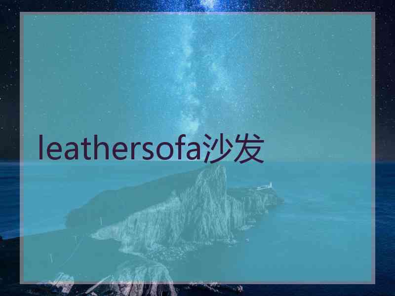 leathersofa沙发