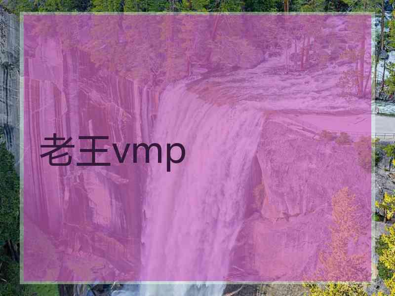 老王vmp