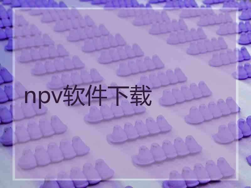 npv软件下载