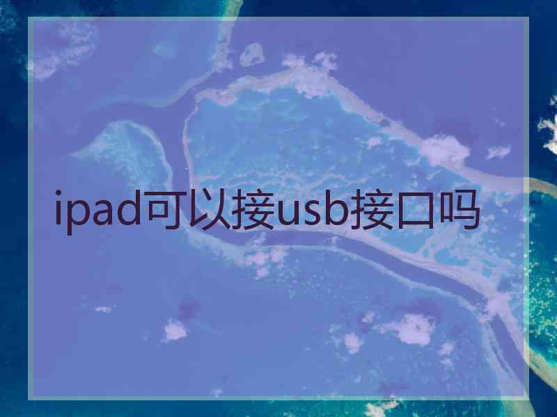 ipad可以接usb接口吗