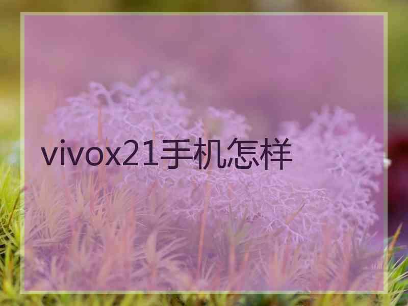 vivox21手机怎样