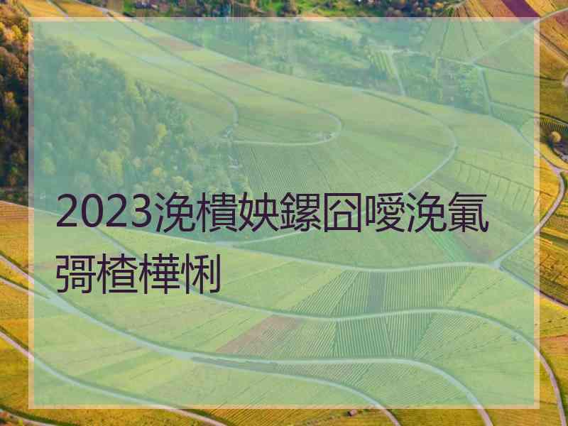 2023浼樻姎鏍囧噯浼氭彁楂樺悧