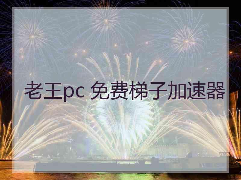 老王pc 免费梯子加速器