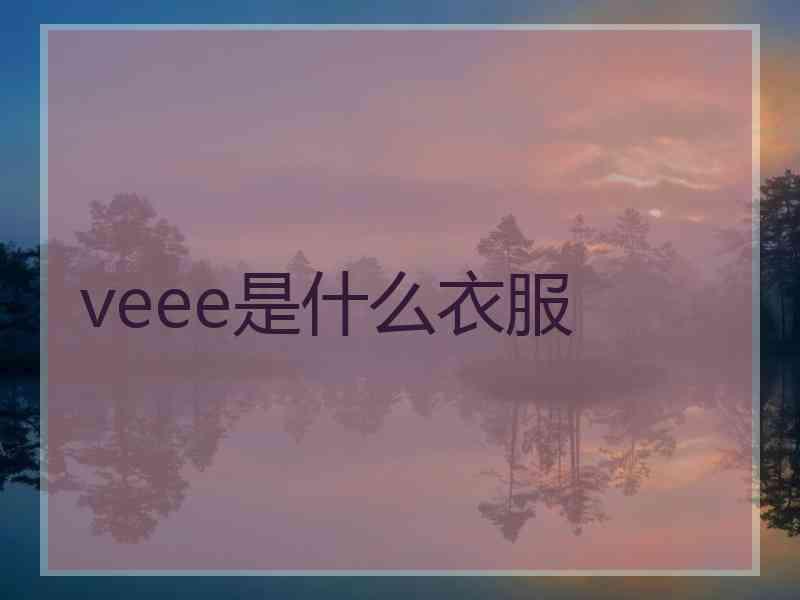 veee是什么衣服