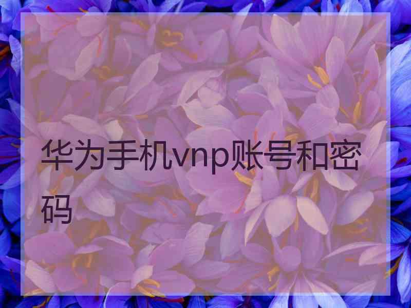 华为手机vnp账号和密码