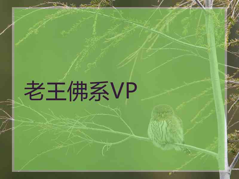 老王佛系VP