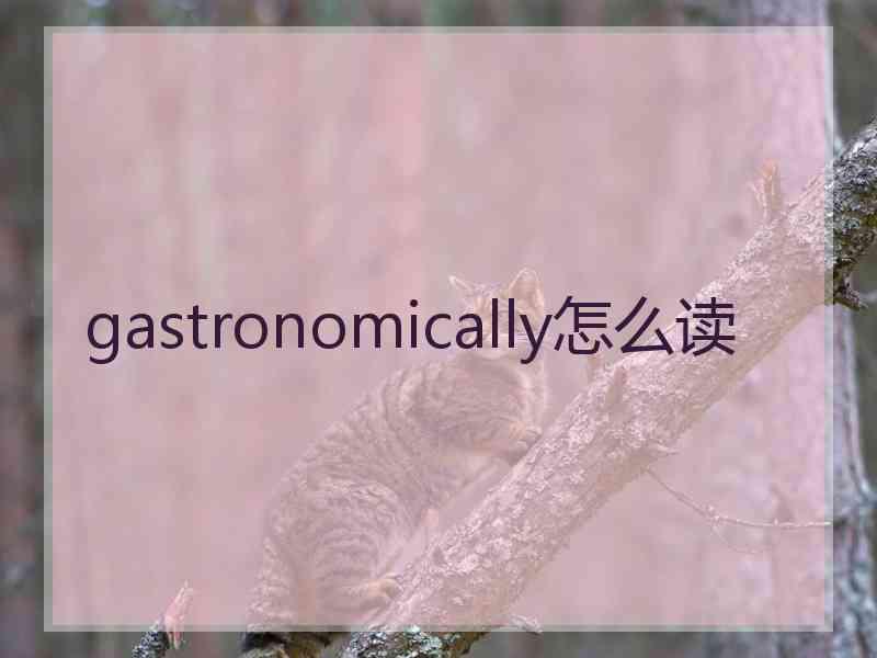 gastronomically怎么读