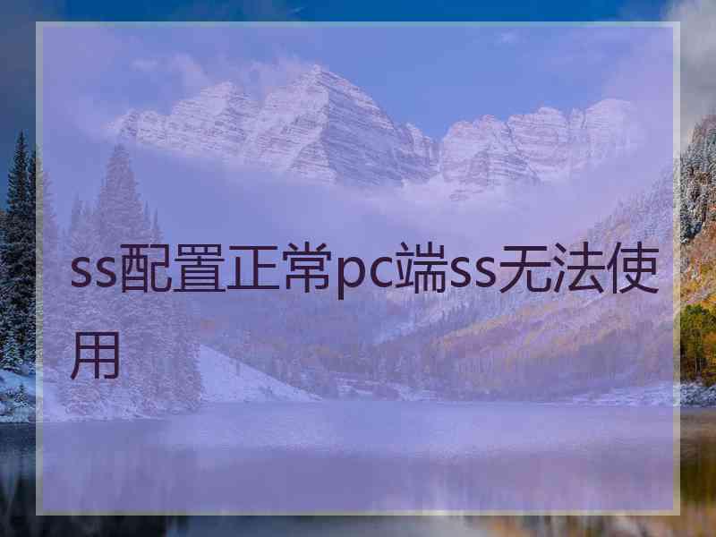 ss配置正常pc端ss无法使用