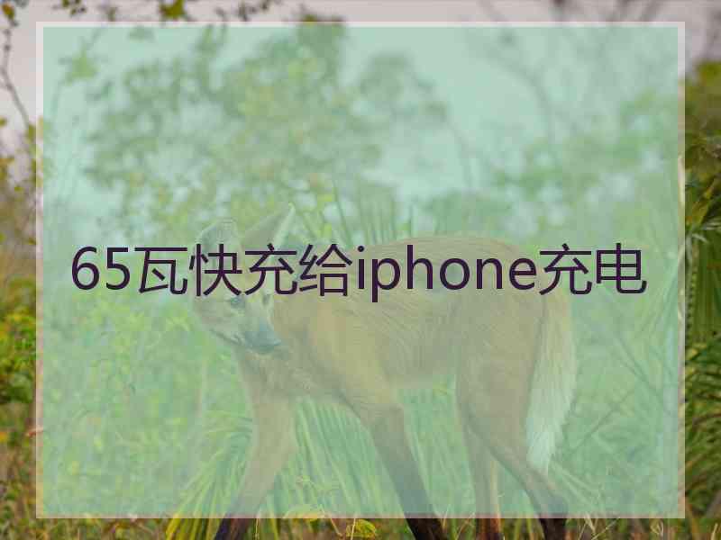 65瓦快充给iphone充电