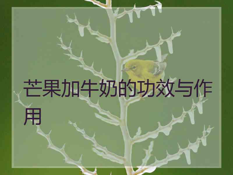 芒果加牛奶的功效与作用