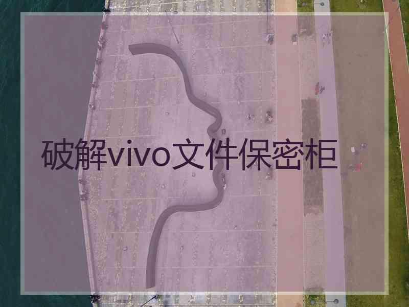 破解vivo文件保密柜