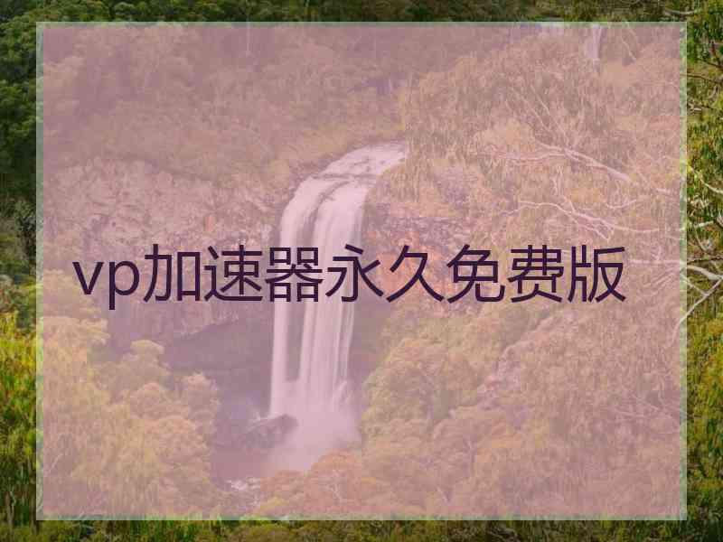 vp加速器永久免费版