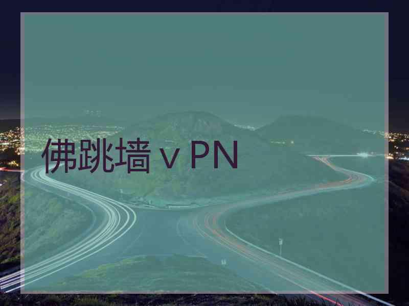 佛跳墙ⅴPN